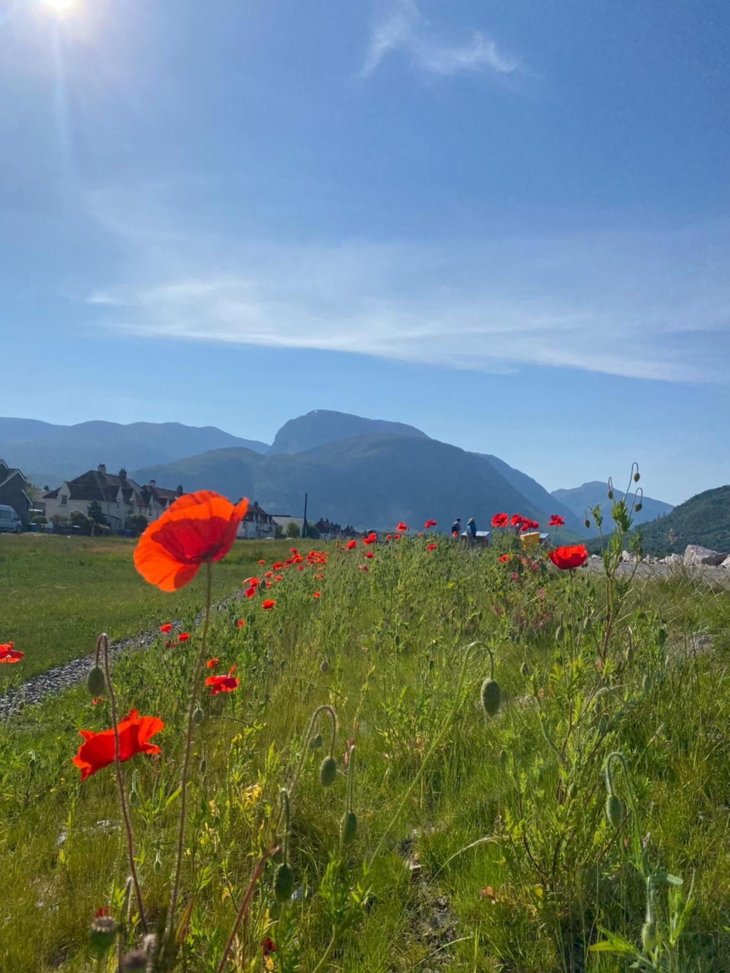 Torlinnhe Fort William Zewnętrze zdjęcie